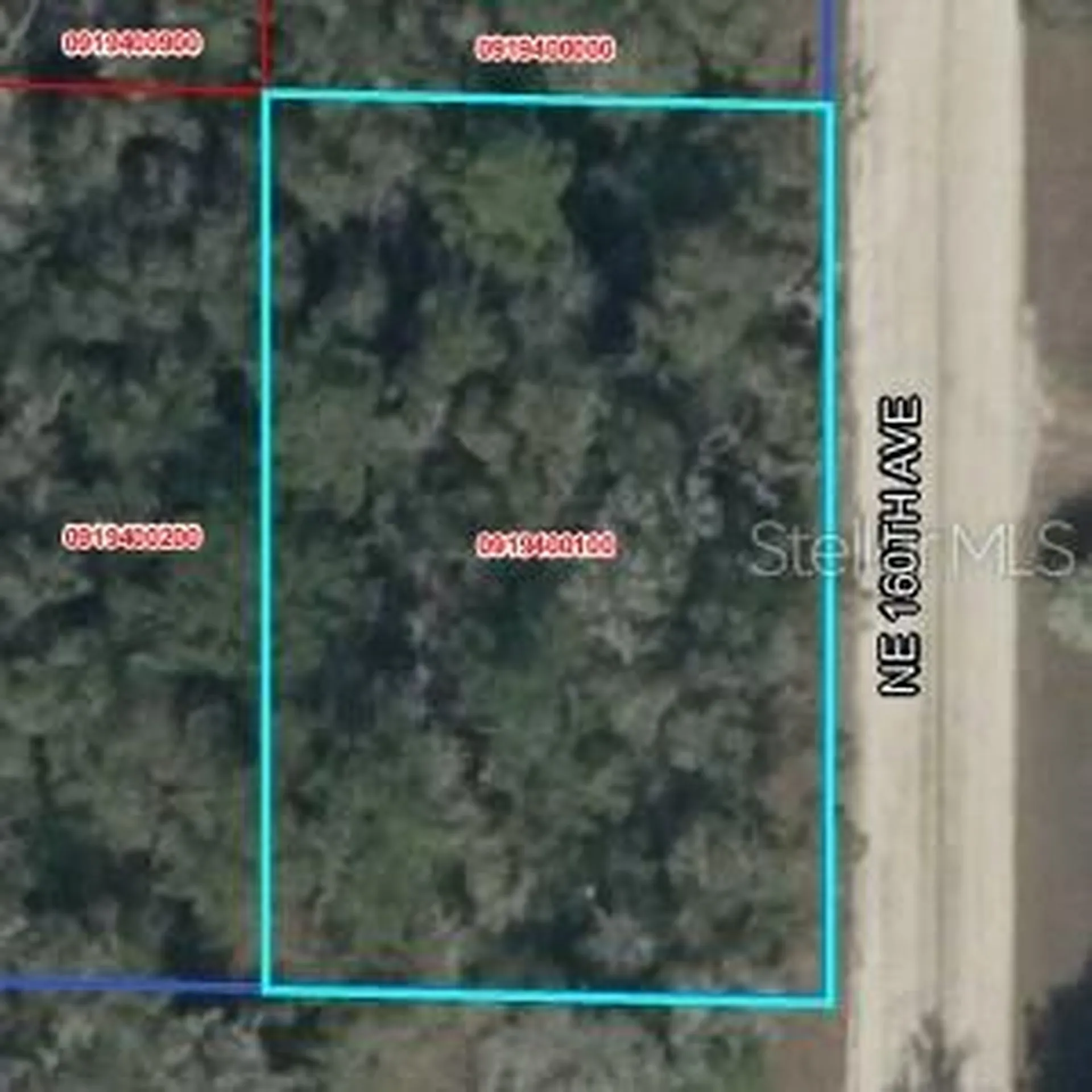 Lot 2 NE 160th Avenue Williston FL 32696