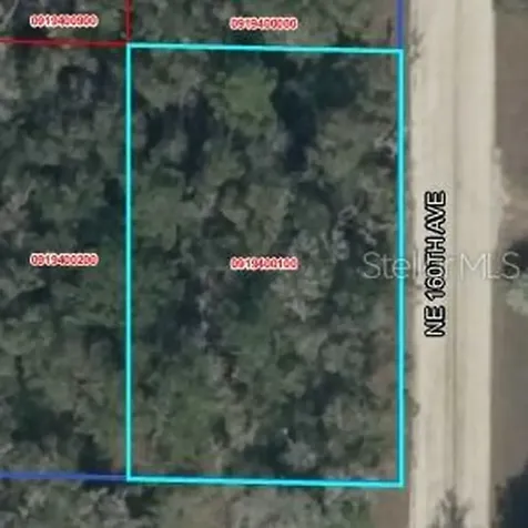 Lot 2 NE 160th Avenue Williston FL 32696