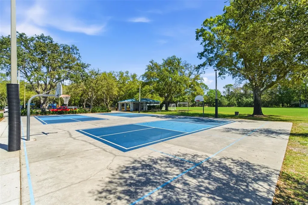 5442 Millbrook Way Palm Harbor FL 34685