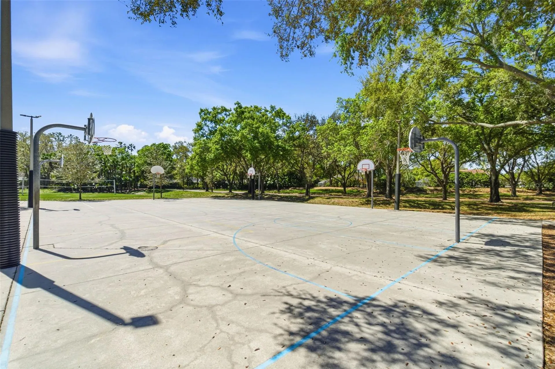 5442 Millbrook Way Palm Harbor FL 34685