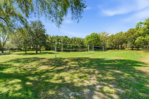 5442 Millbrook Way Palm Harbor FL 34685