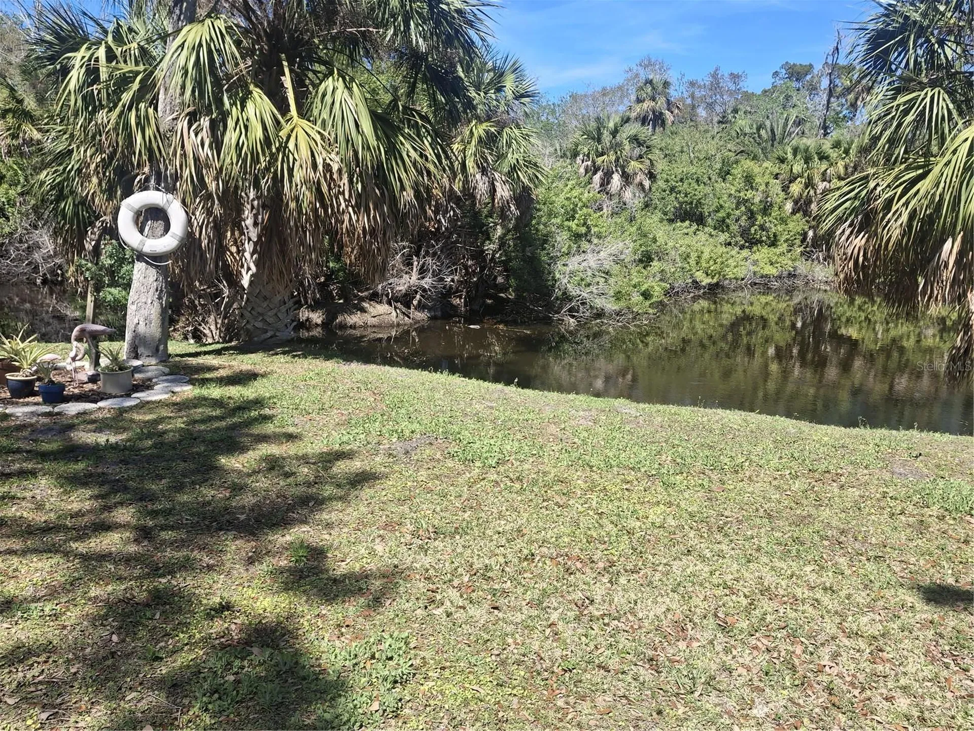 4503 Edith Street New Port Richey FL 34652
