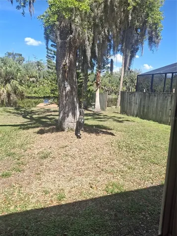 4503 Edith Street New Port Richey FL 34652