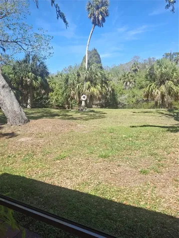 4503 Edith Street New Port Richey FL 34652