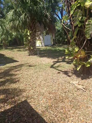 4503 Edith Street New Port Richey FL 34652