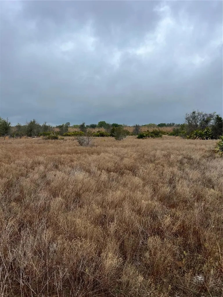 1137 Hopkins Lane Zolfo Springs FL 33890