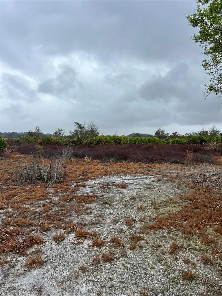 1137 Hopkins Lane Zolfo Springs FL 33890