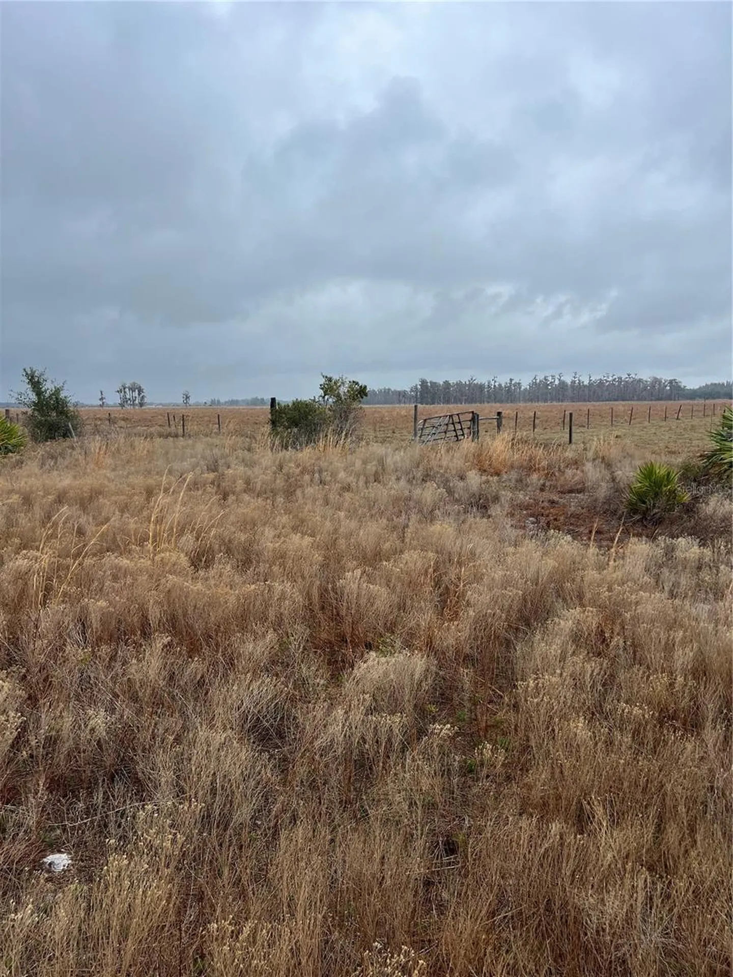1137 Hopkins Lane Zolfo Springs FL 33890