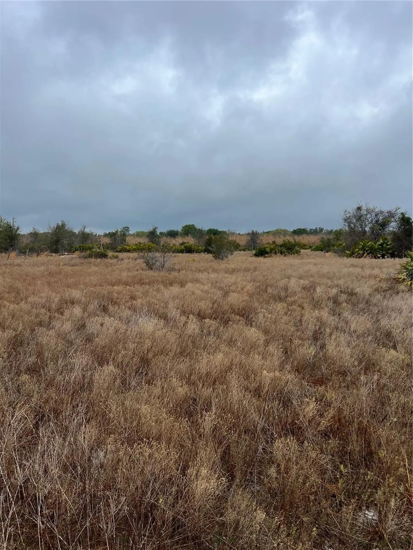 1137 Hopkins Lane Zolfo Springs FL 33890