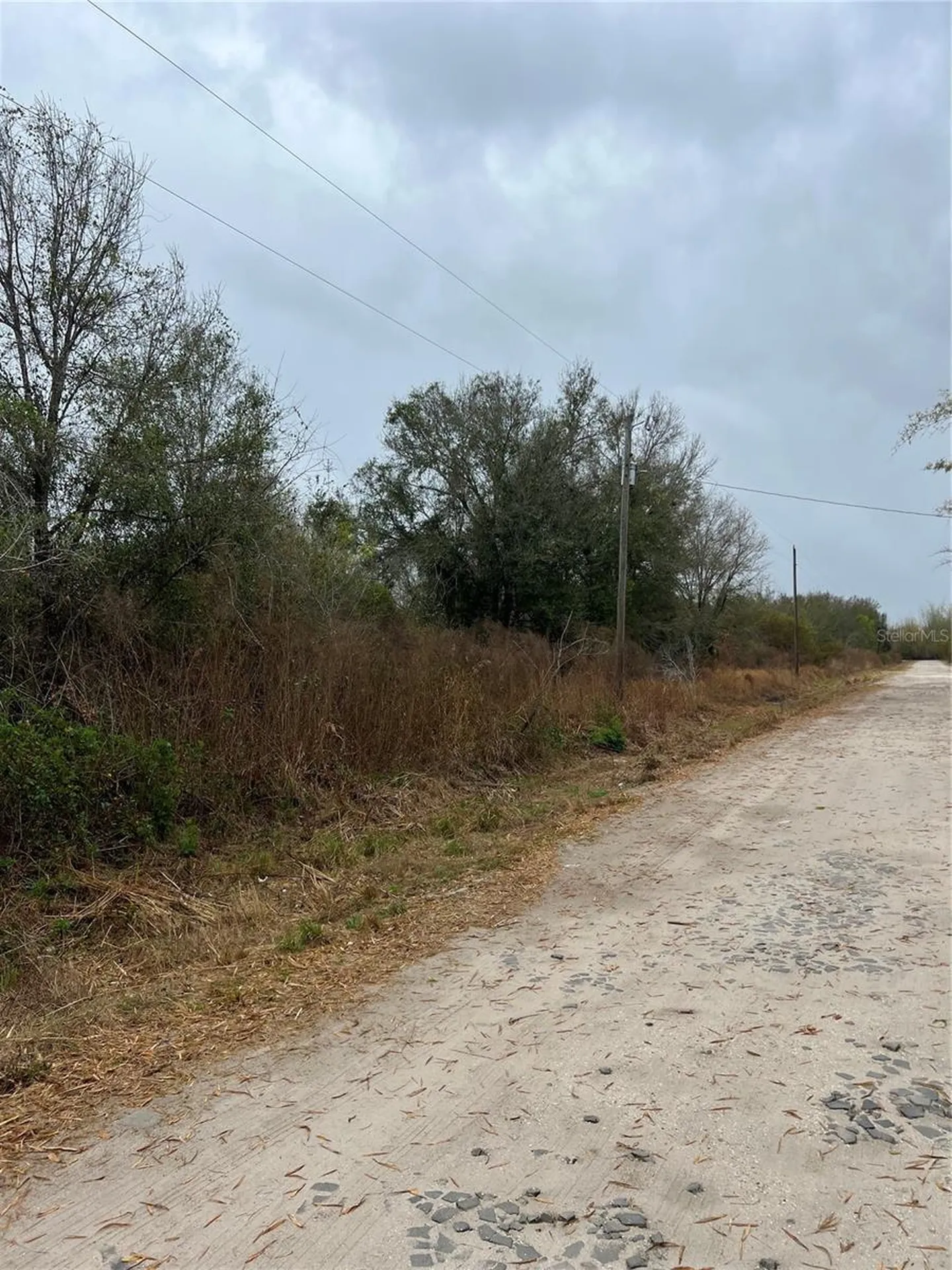 1137 Hopkins Lane Zolfo Springs FL 33890