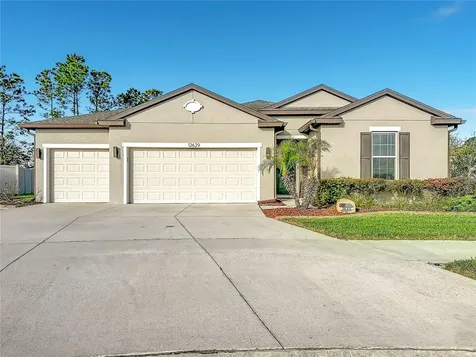 12629 Palapa Loop Spring Hill FL 34610