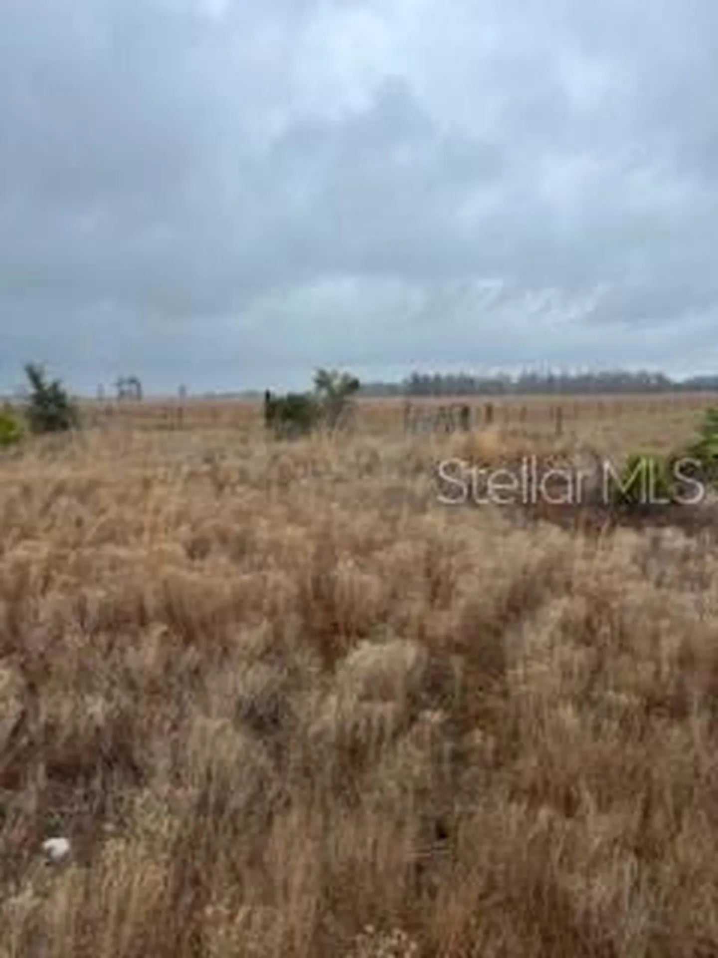 1137 Hopkins Lane Zolfo Springs FL 33890
