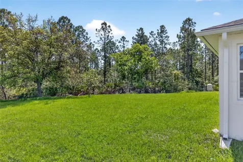 3133 Cavalier Avenue Orlando FL 32833