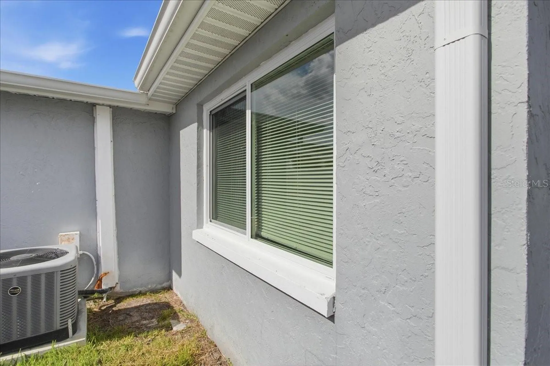3606 Cockatoo Drive New Port Richey FL 34652