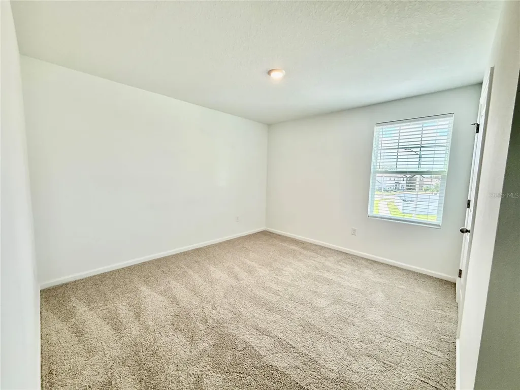 35657 Buttonweed Trail Zephyrhills FL 33541