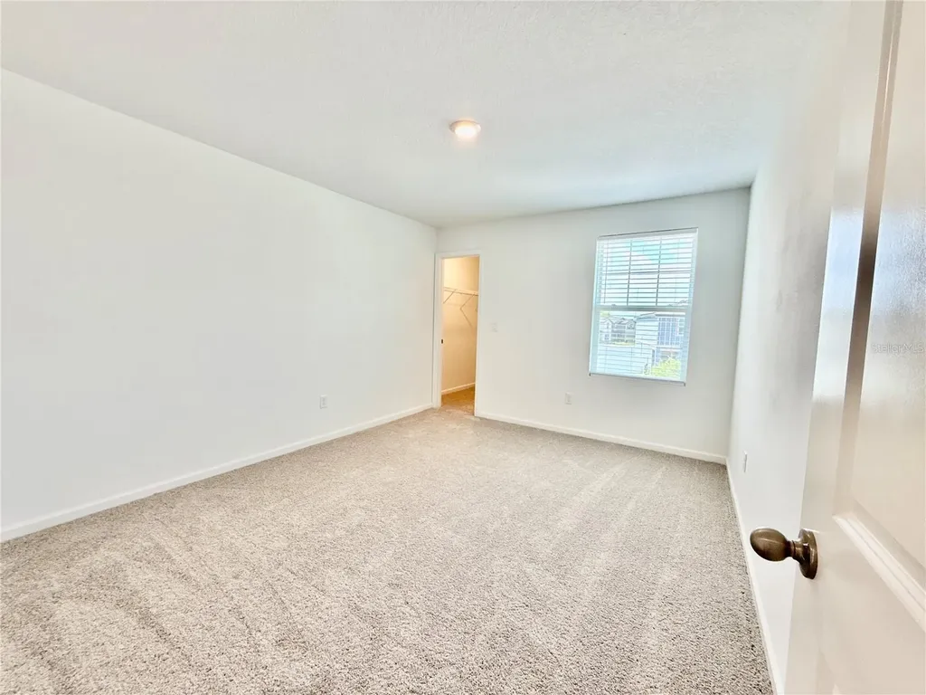 35657 Buttonweed Trail Zephyrhills FL 33541