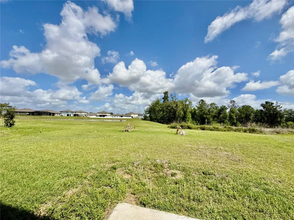 35657 Buttonweed Trail Zephyrhills FL 33541