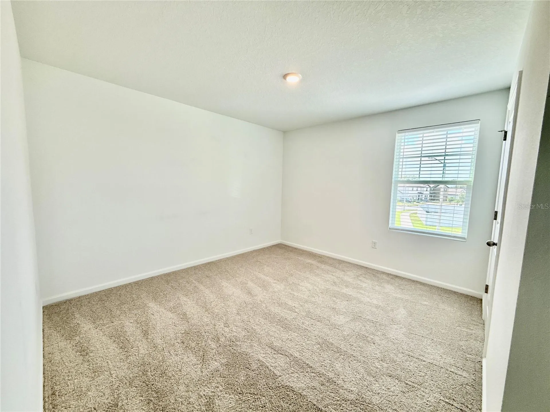 35657 Buttonweed Trail Zephyrhills FL 33541