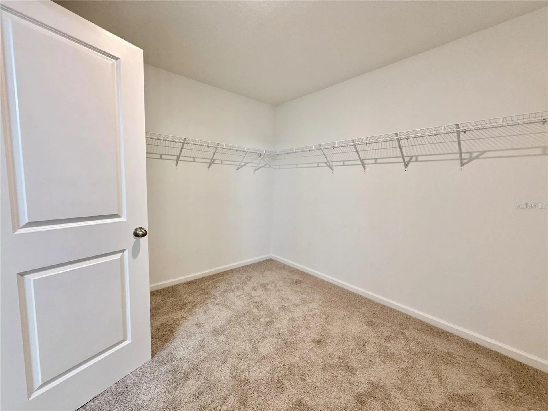 35657 Buttonweed Trail Zephyrhills FL 33541