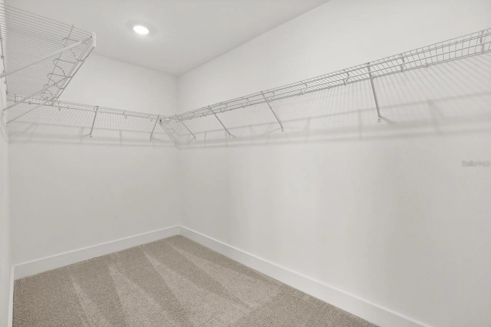 15489 Hamlin Park Drive Winter Garden FL 34787