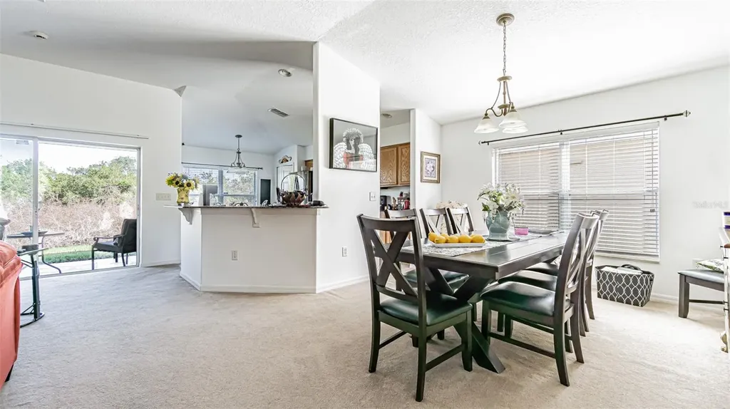 29407 Snap Hook Drive San Antonio FL 33576