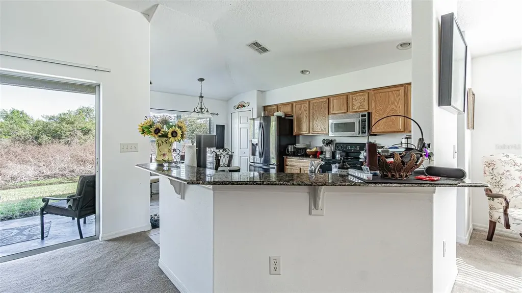 29407 Snap Hook Drive San Antonio FL 33576
