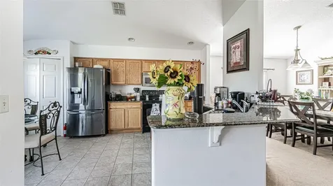 29407 Snap Hook Drive San Antonio FL 33576