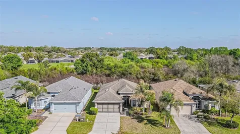 29407 Snap Hook Drive San Antonio FL 33576
