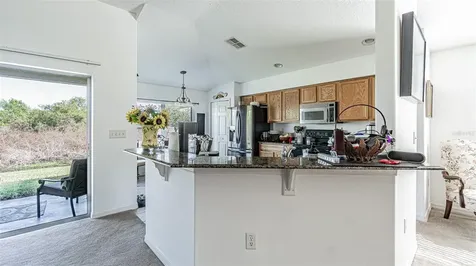 29407 Snap Hook Drive San Antonio FL 33576