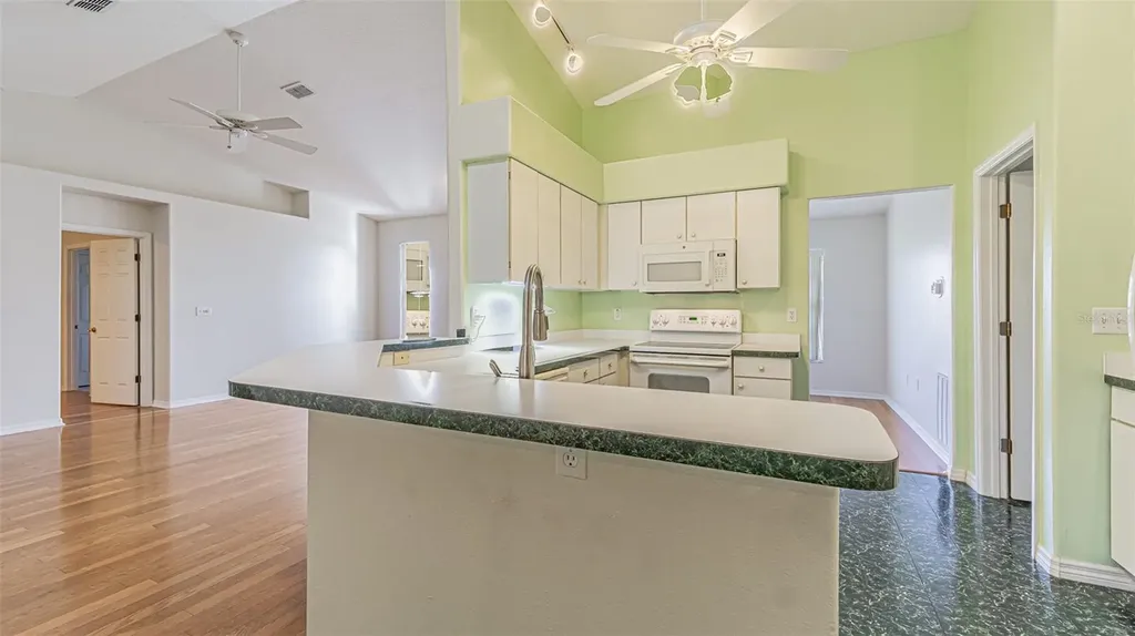 10504 Moshie Lane San Antonio FL 33576