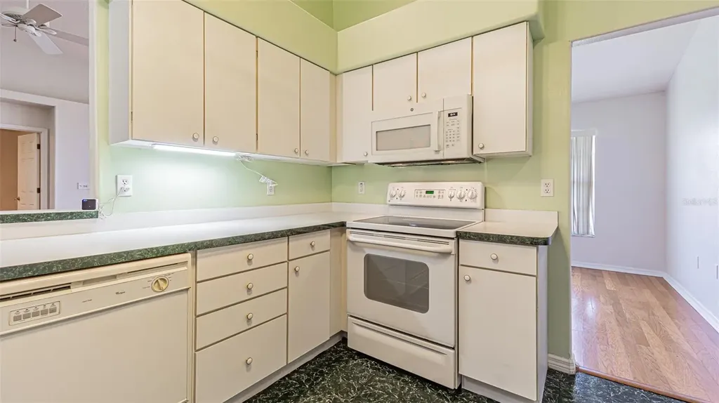 10504 Moshie Lane San Antonio FL 33576