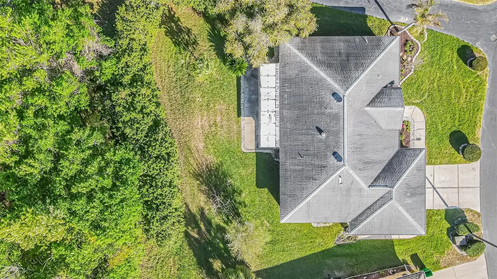 10504 Moshie Lane San Antonio FL 33576
