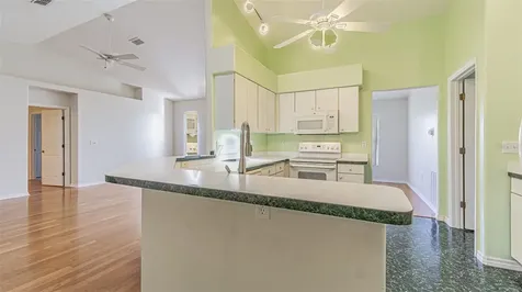 10504 Moshie Lane San Antonio FL 33576