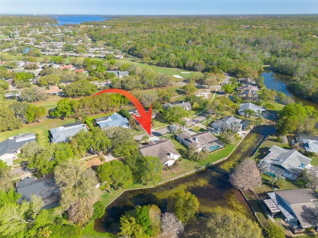 470 Hickorynut Avenue Oldsmar FL 34677