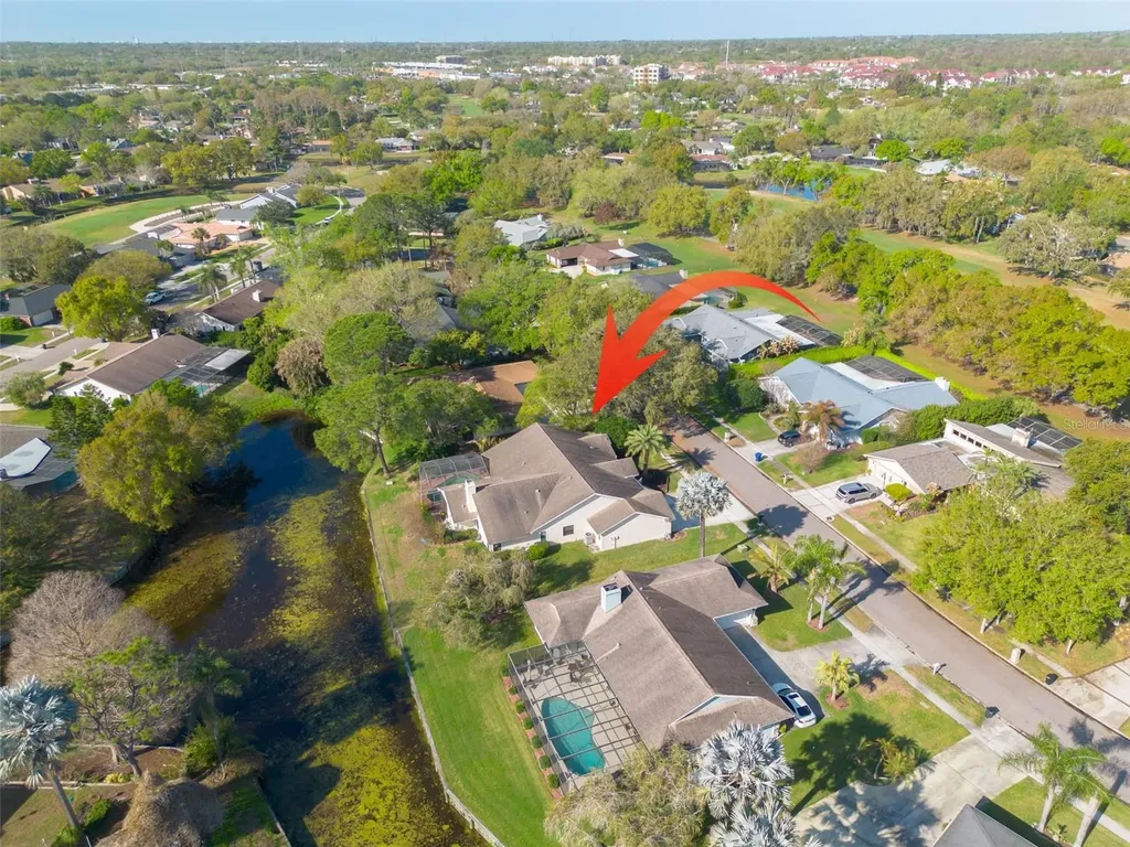 470 Hickorynut Avenue Oldsmar FL 34677