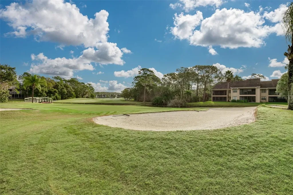 470 Hickorynut Avenue Oldsmar FL 34677