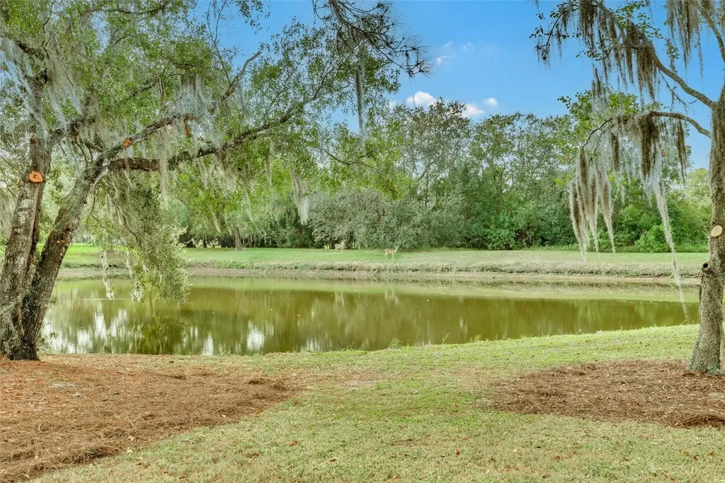 470 Hickorynut Avenue Oldsmar FL 34677