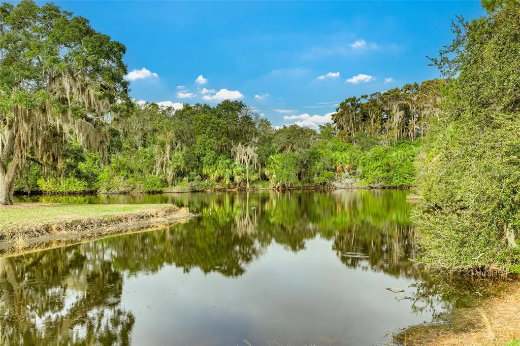 470 Hickorynut Avenue Oldsmar FL 34677