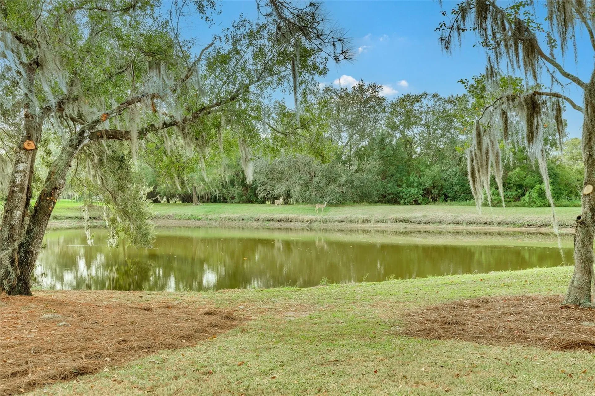 470 Hickorynut Avenue Oldsmar FL 34677