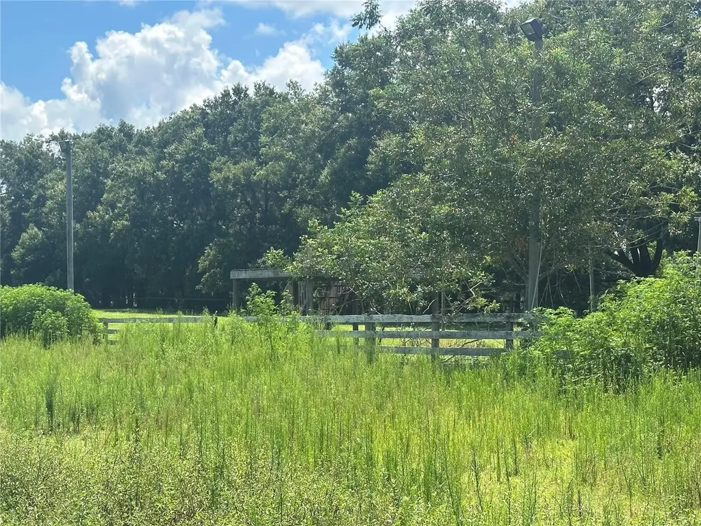 10553 NE 36th Avenue Anthony FL 32617