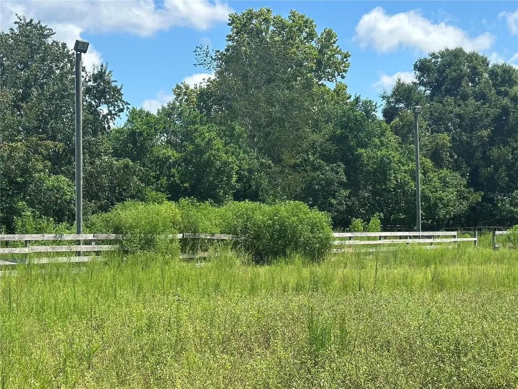10553 NE 36th Avenue Anthony FL 32617