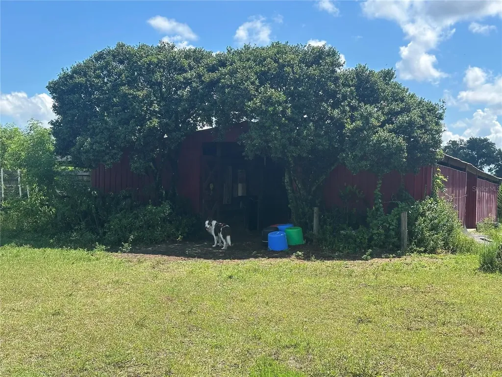 10553 NE 36th Avenue Anthony FL 32617