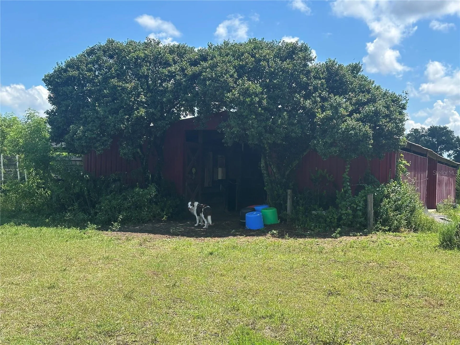 10553 NE 36th Avenue Anthony FL 32617