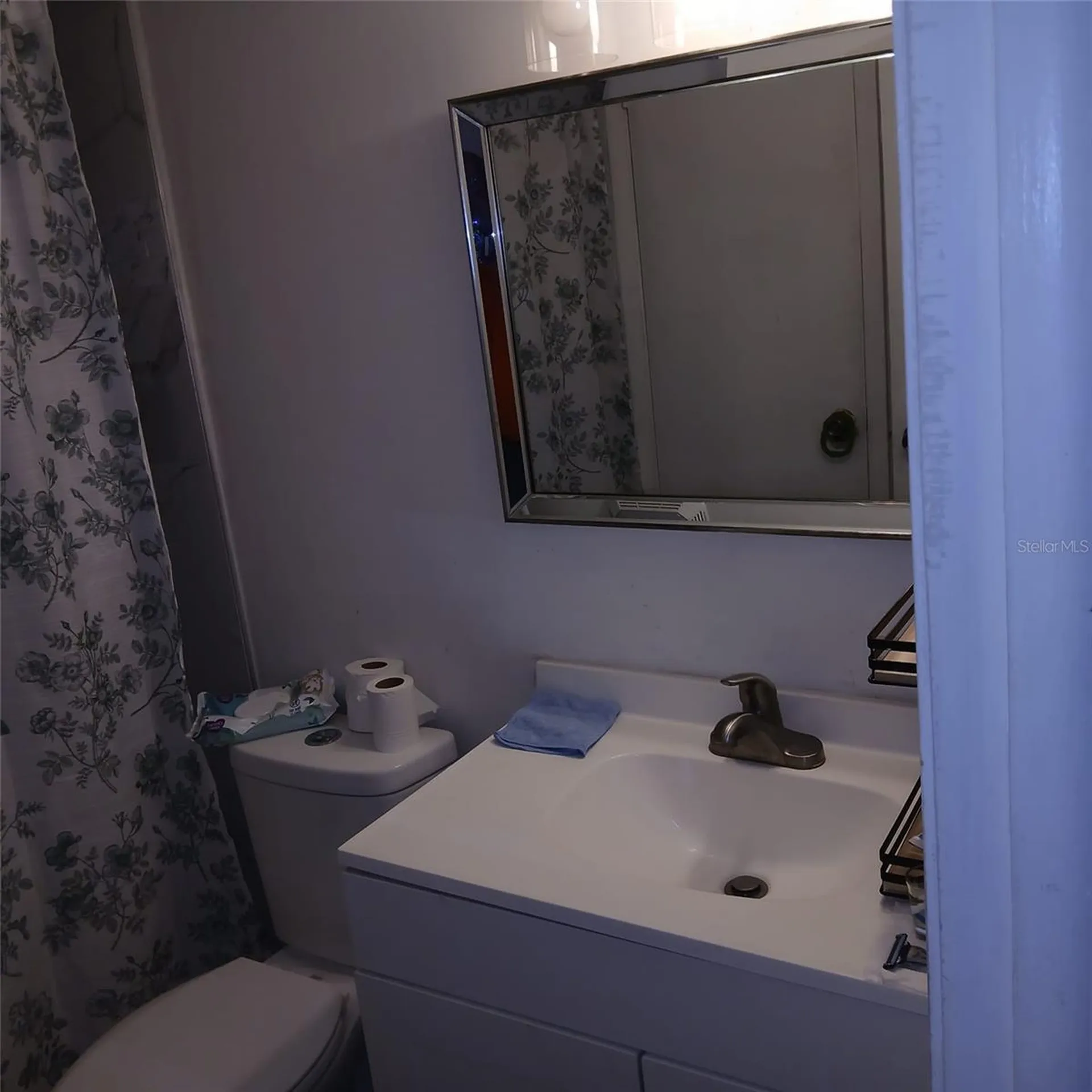 8609 N Champlain Court Tampa FL 33614