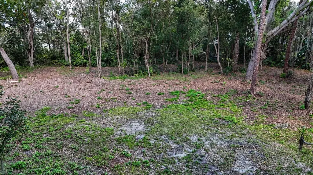 12300 Parrish Cemetary Road Parrish FL 34219