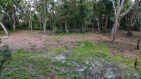 12300 Parrish Cemetary Road Parrish FL 34219