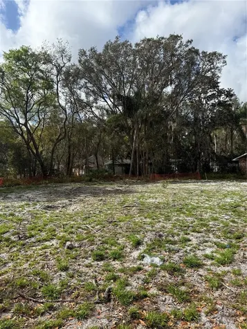 2221 Holly Lane Deland FL 32724
