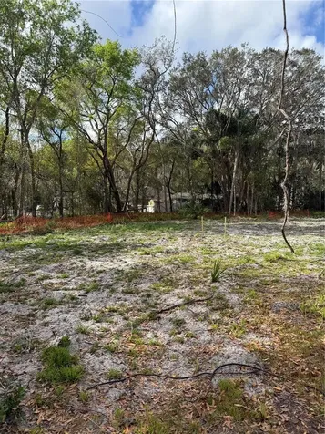 2221 Holly Lane Deland FL 32724