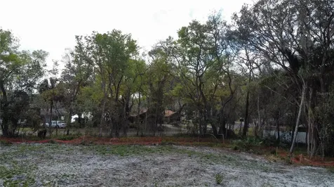 2221 Holly Lane Deland FL 32724