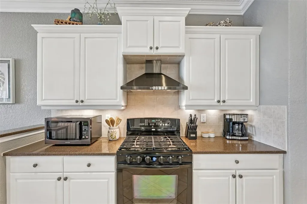 1435 Emerald Dunes Drive Sun City Center FL 33573